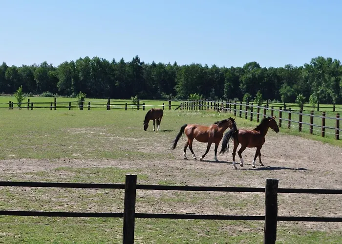 Bed & Breakfast Lando