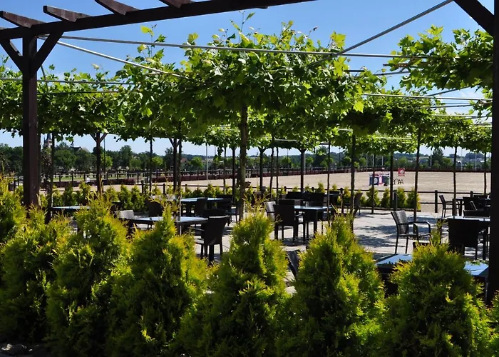 Bed & Breakfast Lando Tarnowskie Gory